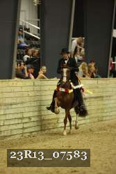 23R13_07583 thumbnail