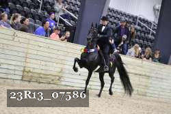 23R13_07586 thumbnail