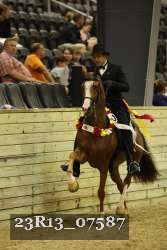 23R13_07587 thumbnail