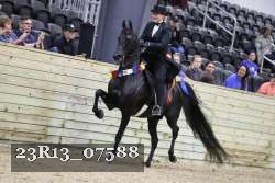 23R13_07588 thumbnail