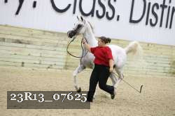23R13_07625 thumbnail