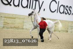 23R13_07626 thumbnail