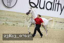 23R13_07627 thumbnail