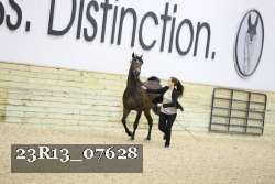 23R13_07628 thumbnail