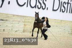 23R13_07630 thumbnail