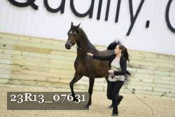 23R13_07631 thumbnail