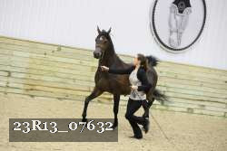 23R13_07632 thumbnail