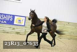 23R13_07633 thumbnail