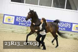 23R13_07634 thumbnail