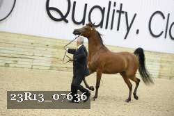 23R13_07636 thumbnail