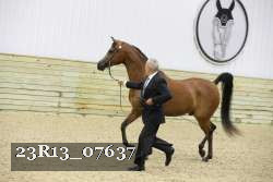 23R13_07637 thumbnail