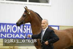 23R13_07638 thumbnail