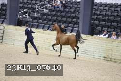 23R13_07640 thumbnail