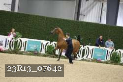 23R13_07642 thumbnail
