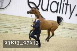 23R13_07643 thumbnail