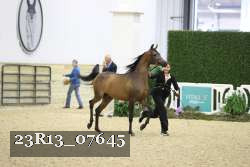 23R13_07645 thumbnail