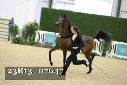 23R13_07647 thumbnail