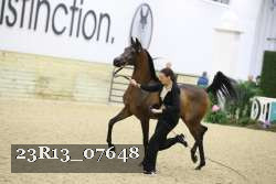 23R13_07648 thumbnail