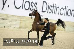 23R13_07649 thumbnail