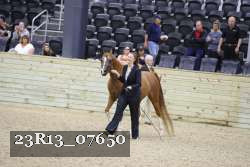 23R13_07650 thumbnail