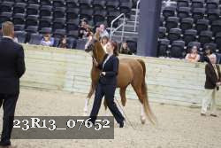 23R13_07652 thumbnail