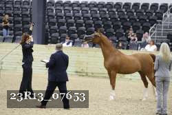23R13_07653 thumbnail