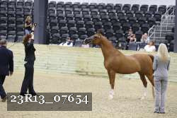 23R13_07654 thumbnail