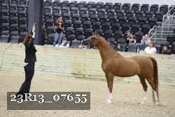 23R13_07655 thumbnail