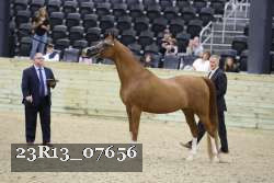 23R13_07656 thumbnail