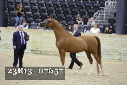 23R13_07657 thumbnail