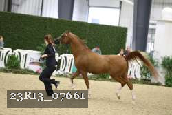 23R13_07661 thumbnail