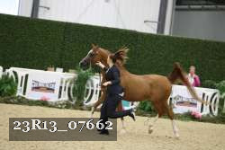 23R13_07662 thumbnail