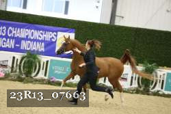 23R13_07663 thumbnail