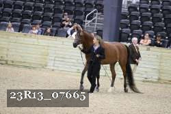 23R13_07665 thumbnail