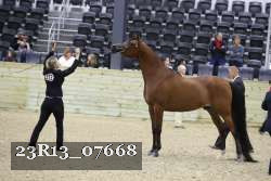 23R13_07668 thumbnail