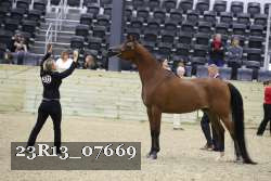 23R13_07669 thumbnail
