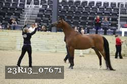 23R13_07671 thumbnail