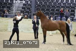 23R13_07672 thumbnail