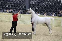 23R13_07692 thumbnail