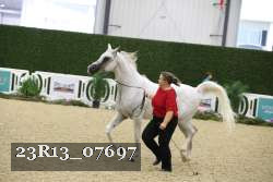 23R13_07697 thumbnail