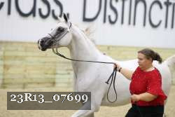 23R13_07699 thumbnail