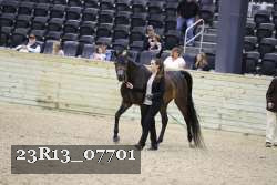 23R13_07701 thumbnail
