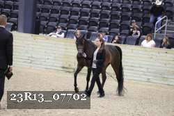 23R13_07702 thumbnail