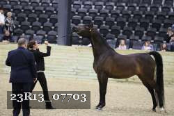 23R13_07703 thumbnail