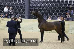 23R13_07704 thumbnail