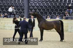 23R13_07706 thumbnail