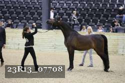 23R13_07708 thumbnail