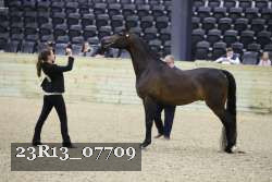 23R13_07709 thumbnail