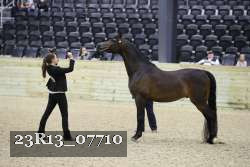 23R13_07710 thumbnail