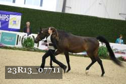 23R13_07711 thumbnail